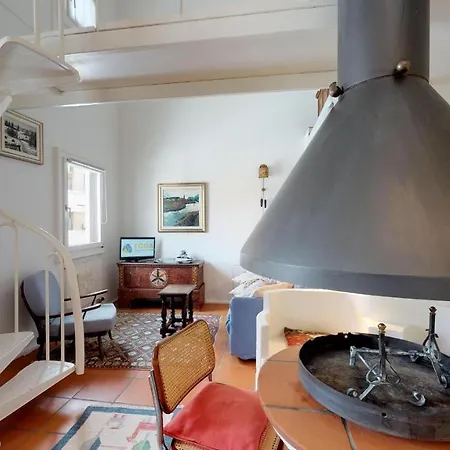 Polaschin D7 سيلس ماريا